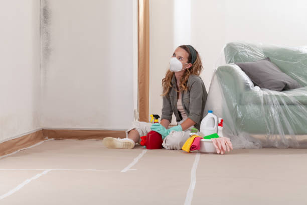 Reliable Attic Mold Removal contractor in Yale, MI by WQB Mold Removal